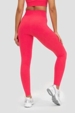 Evolve 2.0 Seamless Legging - Strawberry Soda -Sport Wear Daily Store EVOLVE 2.0 SEAMLESS LEGGING RASPBERRY close back