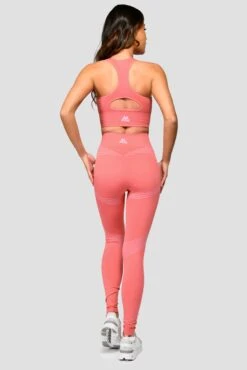 Energy Seamless Bra Top - Rose Pink/Orchid Pink -Sport Wear Daily Store Energy Seamless Bra Top Rose Pink Orchid Pink back