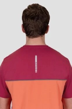 Sierra T-Shirt - Spiced Cherry/Coral/Cement Grey -Sport Wear Daily Store WCrUqNCuCyifE1ZMZsBaShPFEgmzGLiM LRYI9gyNQ