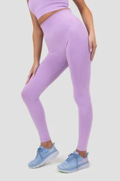 Evolve 2.0 Seamless Legging - Parma -Sport Wear Daily Store WEUddevzlgaDD1BLbf9BZWmkXebEm4um4Nhvf4klyNU